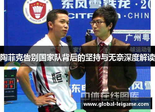 陶菲克告别国家队背后的坚持与无奈深度解读 陶菲克告别国家队背后的坚持与无奈深度解读