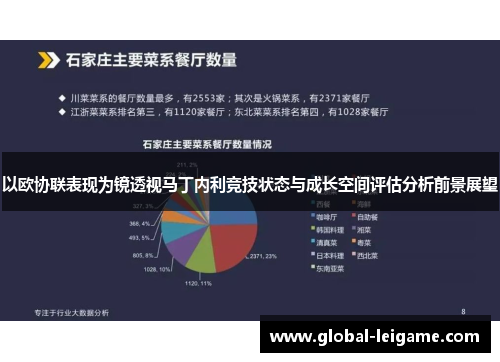 以欧协联表现为镜透视马丁内利竞技状态与成长空间评估分析前景展望 以欧协联表现为镜透视马丁内利竞技状态与成长空间评估分析前景展望