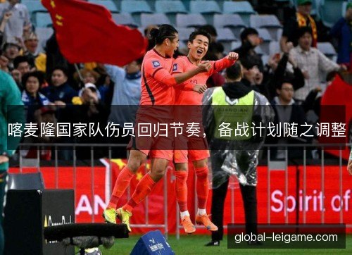 喀麦隆国家队伤员回归节奏，备战计划随之调整