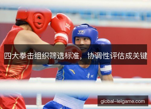 四大拳击组织筛选标准,协调性评估成关键 四大拳击组织筛选标准,协调性评估成关键